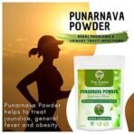 Heera Ayurvedic Research Foundation True Essence Provisions Punarnava Powder|Boerhavia Diffusa for Renal Problems and Urinary Tract Infections 400Gm (Pack of2) - Fast Shipping to USA - Image 7