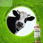 Bliss of Earth Gomutra Desi Cow Urine Original, Gomutra ARK Distilled For Drinking, Plants & Pooja 400ml - Fast UK Delivery - Image 7