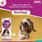 AIMIL Boniheal Pet Liquid | Herbal Medicine for Bone Strength & Health for Dogs & Cats |200ml - Fast UK Delivery - Image 5