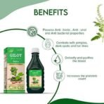 CURA AYURVEDIC Giloy with Tulsi Juice II Immunity booster with richness of Giloy & Tulsi II Supports Platelet Count II 500ml - Fast UK Delivery - Image 3
