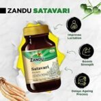 Zandu Satavari Capsules, With Natural Satavari Extracts, Useful for Women's Wellness - 60 Veg Capsules - Fast UK Delivery - Image 4