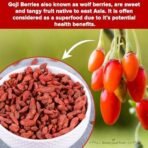 Urban Platter Goji Berries, 500g (Unsweetened | Garnish or Add to Fruit Salads, Oatmeal, Mueslis, Trail Mixes, Ice Creams, Baked Goods) - Fast UK Delivery - Image 5