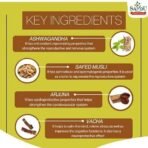 Sandu Aswhagandharishta | (200 ml) - Fast UK Delivery - Image 4