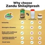 Zandu Shilajitprash 450g - Fast UK Delivery - Image 7