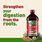 Zandu Pancharishta 650ml, Ayurvedic Tonic, Relief from disgetive problems like Acidity, Constipation and Gas, boosts digestive immunity - Fast UK Delivery - Image 4