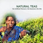 TEACURRY Chamomile Tea Bags for Sleep - 15 Pieces | Helps with PMS, Sleep, and Skin | Chamomile Tea Herbal with Green Tea (15 Tea Bags) - Fast UK Delivery - Image 3