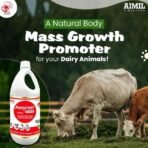 Aimil Amyron Vet Syrup 500ml - Fast UK Delivery - Image 5