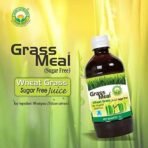 Basic Ayurveda Grass Meal (Wheat Grass) Juice | Sugar Free | Ayurvedic Juice for Detoxification | Improve Immunity | Activate Your Digestive System | Weight Loss | 1000ml - Fast UK Delivery - Image 4