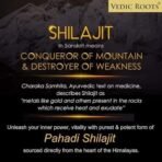 Vedic Roots Natural Shilajit Resin Men & Women,Liquid Shilajeet Enriched with Fulvic Acid & Vitamins Stamina Strength Booster Supplement - 30 gm X 4 - Fast UK Delivery - Image 4