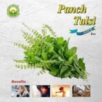 Basic Ayurveda Panch Tulsi Juice (Ras) | Improve Immunity | Skin Health | Maintain Cholesterol Level | Beneficial in Stomach Problem | 500 ml - Fast UK Delivery - Image 5