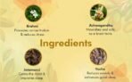 Charak Pharma Sumenta Tablet With Tagar and Jatamansi for Natural Care in Stress and Anxiety (Pack of 6) - Fast UK Delivery - Image 5