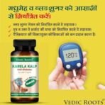 Vedic Roots Ayurvedic Karela Kalp Sugar Control Capsule|Sugar Guard Karela Jamun Neem Jamunbeej Gudmar Capsule for Manage Sugar Metabolism - 60 Capsules - Fast UK Delivery - Image 5