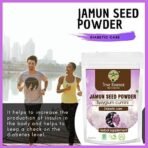 Heera Ayurvedic Research Foundation jamun powder Syzygium Cumini for Diabetic Care 200 Gms pack of 1 - Fast Shipping to USA - Image 6