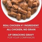 Drools Absolute Calcium Bone Jar (40 Pieces) + Drools Adult Wet Dog Food, Real Chicken and Chicken Liver Chunks in Gravy, 15 Pouches(15x150g),150 g (Pack of 15) - Fast UK Delivery - Image 5