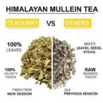 TEACURRY Himalayan Mullein Tea (30 Tea Bags, 1 Month Pack) - Helps In Immunity, Lung Detox Wellness | Mullein Tea For Lungs, 60 Grams, Green Tea - Fast Shipping to USA & Canada - Image 3