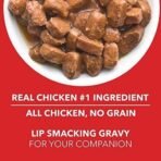 Drools Puppy Wet Dog Food,Real Chicken and Chicken Liver Chunks in Gravy 4.5Kg (150g x 30) Pack of 60 - Fast UK Delivery - Image 5