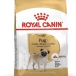 Royal Canin Pug Adult Dry Dog Food, Meat flavour, 3 Kg - Fast UK Delivery