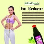 HERBAL CANADA Fat Reducer Awla Tonic, 500 ml (Pack of 3) - Fast UK Delivery - Image 6