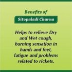 Baidyanath Sitopaladi Churna I For Dry & Wet Cough I For Fatigue I 60 Gms (Pack of 2) - Fast UK Delivery - Image 7