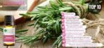 Bliss of Earth ROSEMARY Essential Oil Premium 100% Pure & Natural therapeutic Grade ideal for Aromatherapy 10ml - Fast UK Delivery - Image 3