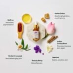 Kerala Ayurveda Kumkumadi Face Oil - 10 ml | Complete Radiance Solution for Glowing Skin | Helps Reduce Wrinkles, Pigmentation & Dark Spots | Anti-Ageing For All Skin Types | Ideal for Gua Sha Massage - Image 6