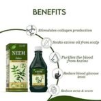 CURA AYURVEDIC Neem Ras II Fresh Neem Leaves II Natural Blood Purifier || 500ml - Fast UK Delivery - Image 3