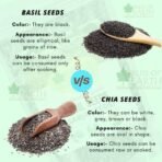 Bliss of Earth Basil Seeds Organic Sabja Seeds, Tukmaria Seeds Fiber & Omega-3 Rich Good for weight loss, Hydration Tiny PowerHouse Seeds 100gm - Fast UK Delivery - Image 5