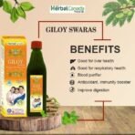 HERBAL CANADA Giloy Ras | Pack of 3 | Naturally Immunity Booster | Natural Source of Antioxidants for Detoxification | Good for Liver and Skin Health (500ML) - Fast UK Delivery - Image 3