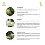 Kerala Ayurveda Punarnavadi Kwath Tablet 100 Nos - Fast UK Delivery - Image 6