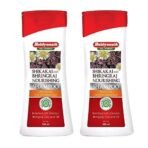 Baidyanath Shikakai and Bhringraj Nourishing Shampoo I Hair Strong Shampoo I Coconut Oil I 200 ML | Pack of 2 - Sulfate & Paraben Free - Fast UK Delivery