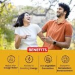 Baidyanath Bhringrajasava, Syrup (450 Ml) | Helps To Manage Common Cold, Cough & Premature Greying Of Hair | Maintains Overall Wellbeing (Pack Of 1) - Fast UK Delivery - Image 6