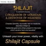 Vedic Roots Pure Shilajit Capsule for Men,Shilajeet Ashwagandha Safed Musli Testosterone Capsule (500mg) Muscle Power Strength Energy Supplement - 60 Capsule - Fast UK Delivery - Image 5