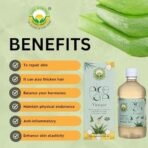 Basic Ayurveda Aloe vera vinegar 500 ml - Fast UK Delivery - Image 4