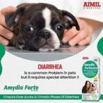 AIMIL Amydio Forte Pet Liquid | Herbal Medicine for Diarrhoea, Dysentery & GIT Infections for Dogs & Cats | 200ml - Fast UK Delivery - Image 3