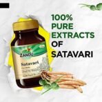 Zandu Satavari Capsules, With Natural Satavari Extracts, Useful for Women's Wellness - 60 Veg Capsules - Fast UK Delivery - Image 3