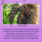 Urban Platter Freeze-Dried Acai Berry Powder, 30g (Brazilian Superfood | Rich in Antioxidants | Perfect for Smoothies & Bowls) - Fast UK Delivery - Image 5