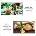 Typhoo Stimulating Adrak Chai (25 Tea Bags) - Fast UK Delivery - Image 6