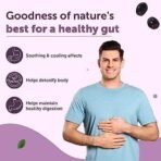 Neuherbs Natural Jamun Seed Powder For Healthy Digestion & Sugar Levels | 100% Pure & Natural | Good For Heart Health, Immune System, Detoxification - (200g Pack of 1) - Fast UK Delivery - Image 7