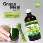 BASIC AYURVEDA Wheat Grass Meal (Sugar-Free) Juice 500 Ml Organic 100% Natural & Pure Herbal Ayurvedic Drink | One Solution To Many Health Benefits | First Press Virgin Juice | Pleasent Natural Taste - Fast UK Delivery - Image 3