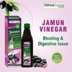 Herbal Canada Vinegar 500 ML (Jamun Vinegar) - Fast UK Delivery - Image 5