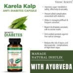 Vedic Roots Ayurvedic Karela Kalp Sugar Control Capsule|Sugar Guard Karela Jamun Neem Jamunbeej Gudmar Capsule for Manage Sugar Metabolism - 60 Capsules - Fast UK Delivery - Image 3