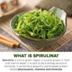 Urban Platter Pure Spirulina Powder, 300g [All-Natural and Mineral-Rich Detoxifying Supplement] - Fast UK Delivery - Image 5