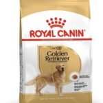 Royal Canin Golden Retriver Adult Pellet Dog Food, Meat Flavour, 3 KG - Fast UK Delivery