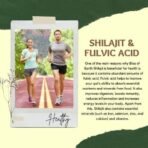 Bliss of Earth 90 Days Original Sun Dried Himalayan Shilajit Resin | Pure Surya Tapi Shilajeet | For Stamina & Energy (20gm) - Fast UK Delivery - Image 7