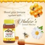 Baidyanath Honey 1Kg | Natural Immunity Booster, Pure & Wholesome - Weight Loss Support, Radiant Skin, Cough & Cold Defense | No Added Sugar - Fast UK Delivery - Image 4
