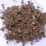 Divesh Store Bramhi - 100Grm - Bacopa - Dry Bhrami - Water Hyssop - Neerbrahmi - Bacopa Monnieri - Fast UK Delivery