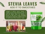 Bliss of Earth Organic Stevia Leaves Dried, Natural & Sugarfree, Best Taste, 100GM - Fast UK Delivery - Image 7