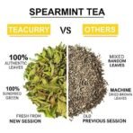 TEACURRY Spearmint Tea Bag - Helps With Hormonal Imbalance, Facial Hair, And Pcos | Spearmint Leaves (30 Tea Bags - 1 Month Pack), 60 Grams - Fast Shipping to USA & Canada - Image 5
