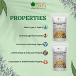 Bliss of Earth Safed Musli Roots Powder Organic Chlorophytum Borivilianum Helps Boost Immunity Energy Stamina 100gm - Fast UK Delivery - Image 3