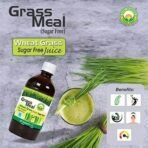 Basic Ayurveda Grass Meal (Wheat Grass) Juice | Sugar Free | Ayurvedic Juice for Detoxification | Improve Immunity | Activate Your Digestive System | Weight Loss | 1000ml - Fast UK Delivery - Image 5